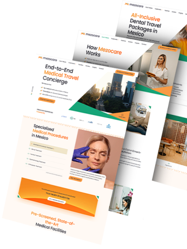 Professional website design showcase featuring modern layouts and user interfaces